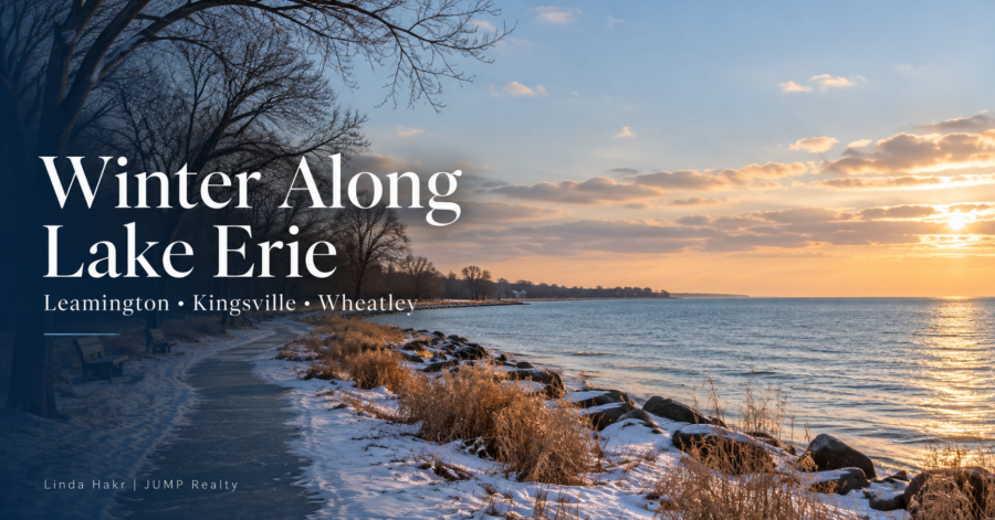 Illustrated Lake Erie shoreline at sunset with light snow, bare trees, and a walking path, titled “Winter Along Lake Erie.